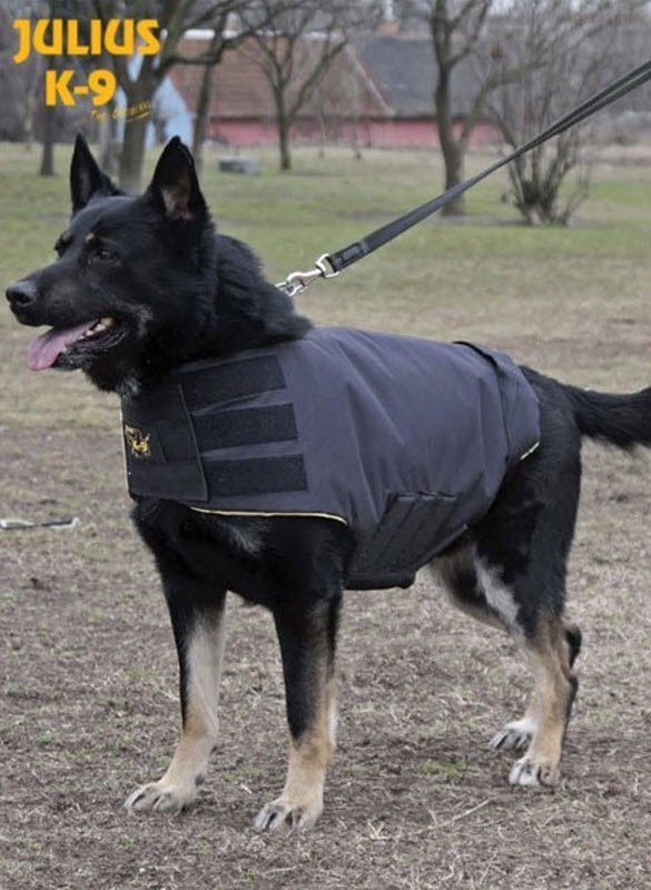 Julius K9 Proff Vest for Service Hunde